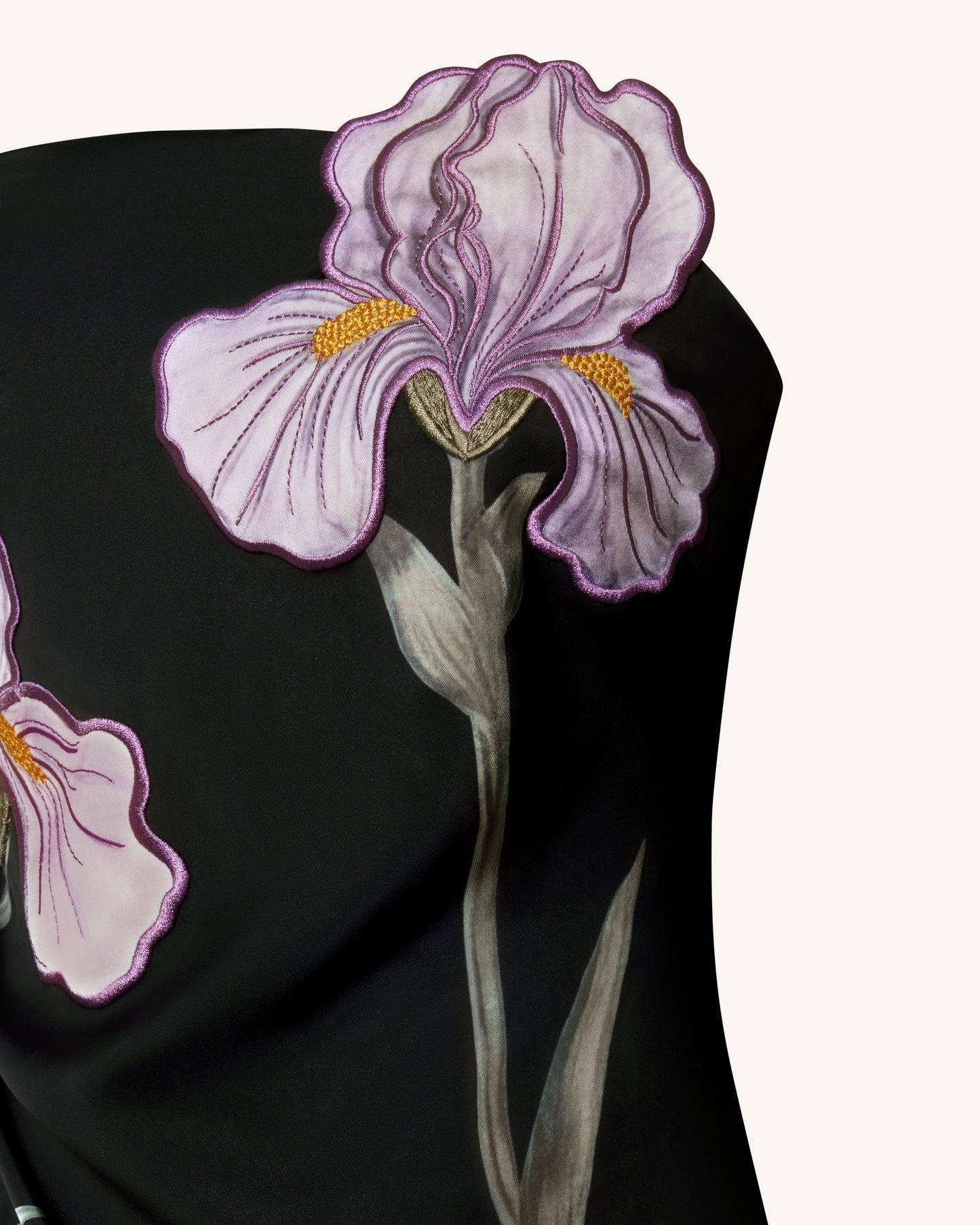 Iris Floral-Appliqué Straplez (Askısız) Maxi Elbise - Siyah