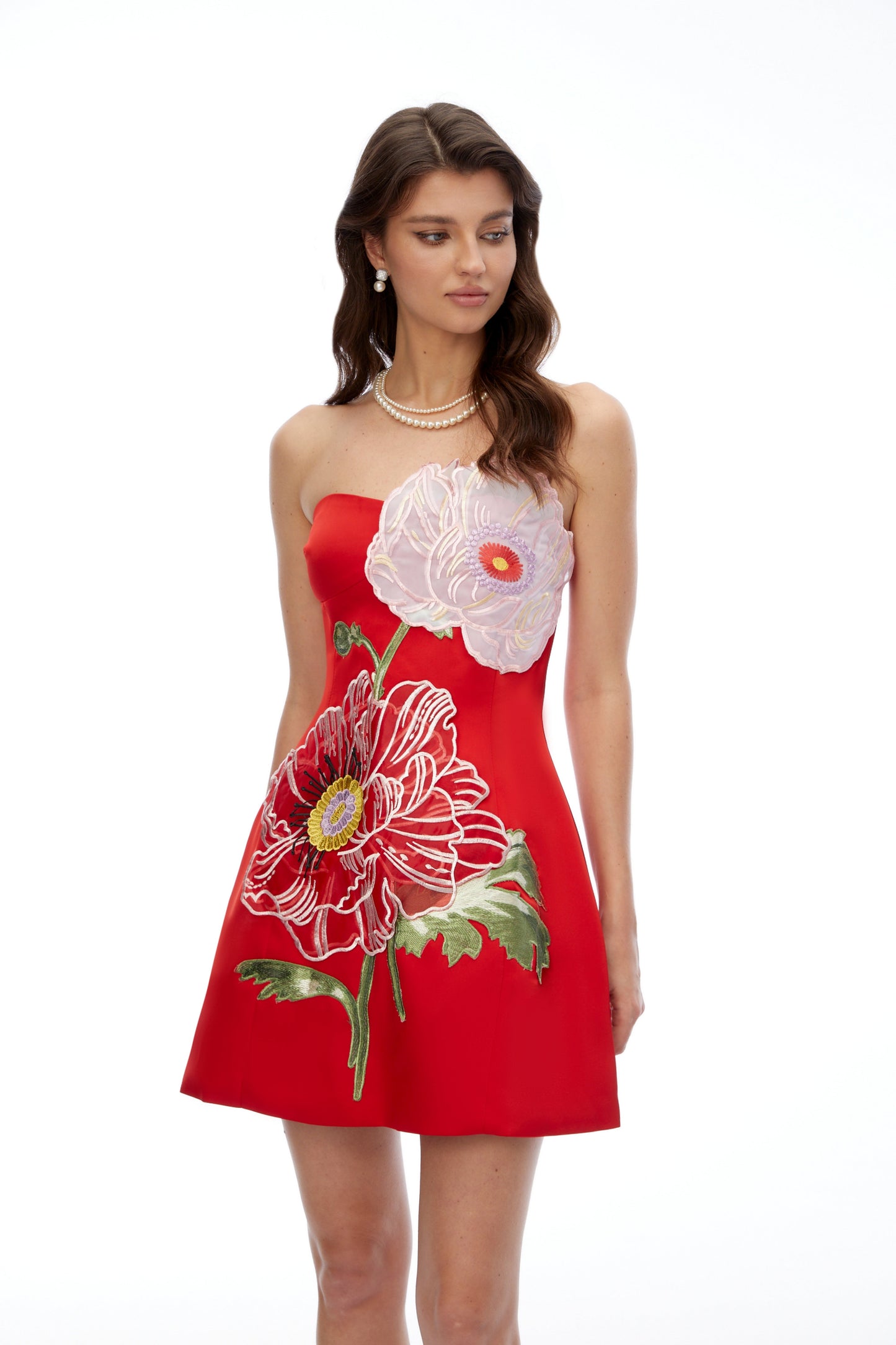 Damaris Red Flora Embroidered Mini Dress