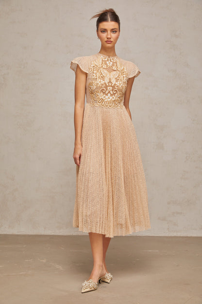 Nerissa Embroidered Pleated Midi Dress