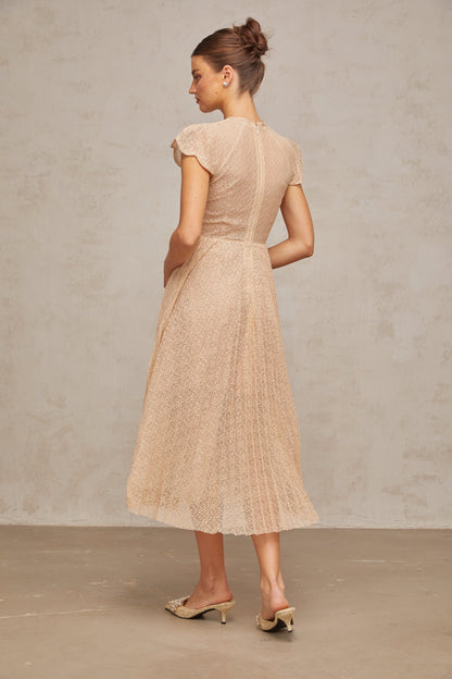 Nerissa Embroidered Pleated Midi Dress