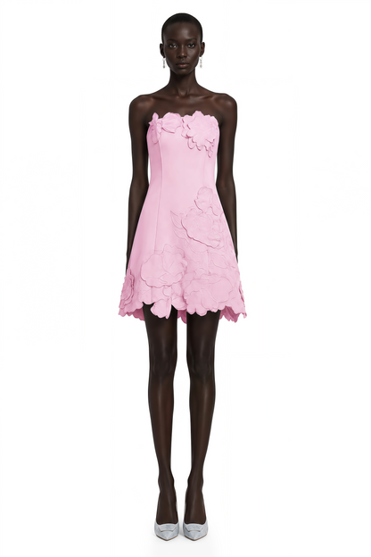 Inga Pink Strapless Floral Embroidered Mini Dress