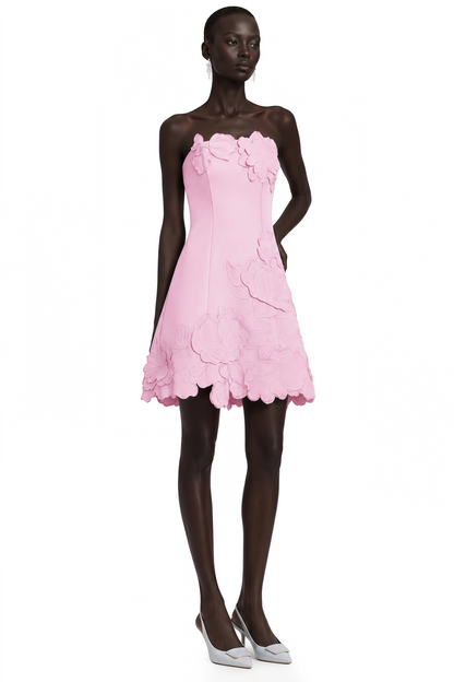 Inga Pink Strapless Floral Embroidered Mini Dress