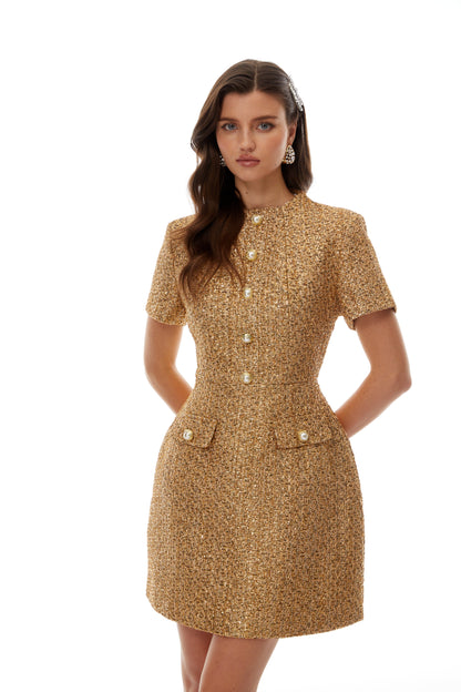 Arna Gold Round Neck Tweed Mini Dress