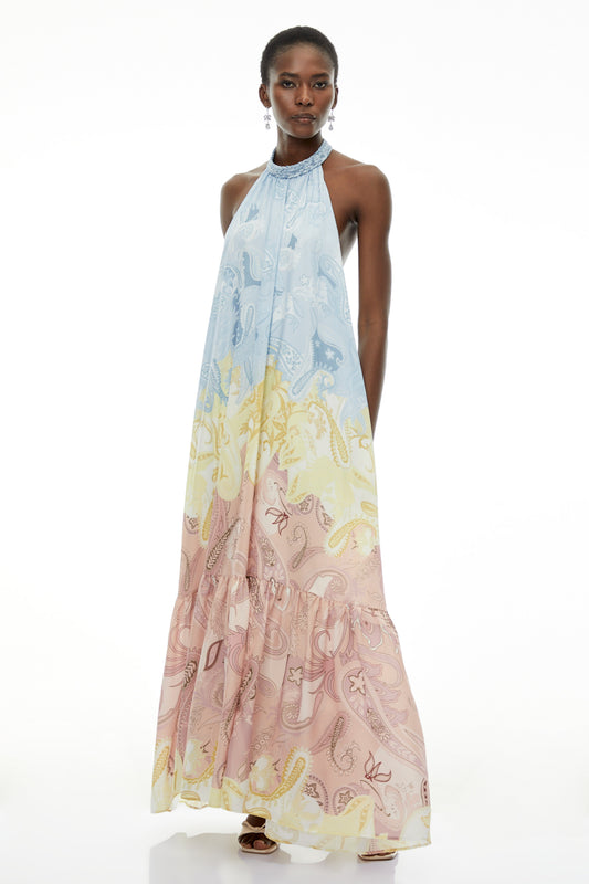 Cassidy Multicolor Floral Maxi Dress