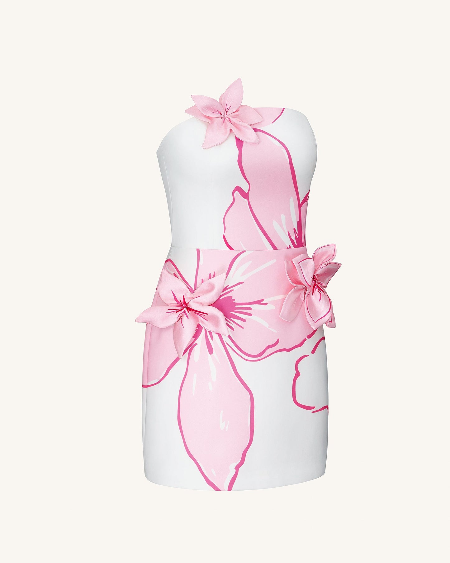 Mini Elbise ile Pembe Çiçek Desenli Appliqués - White/Pink