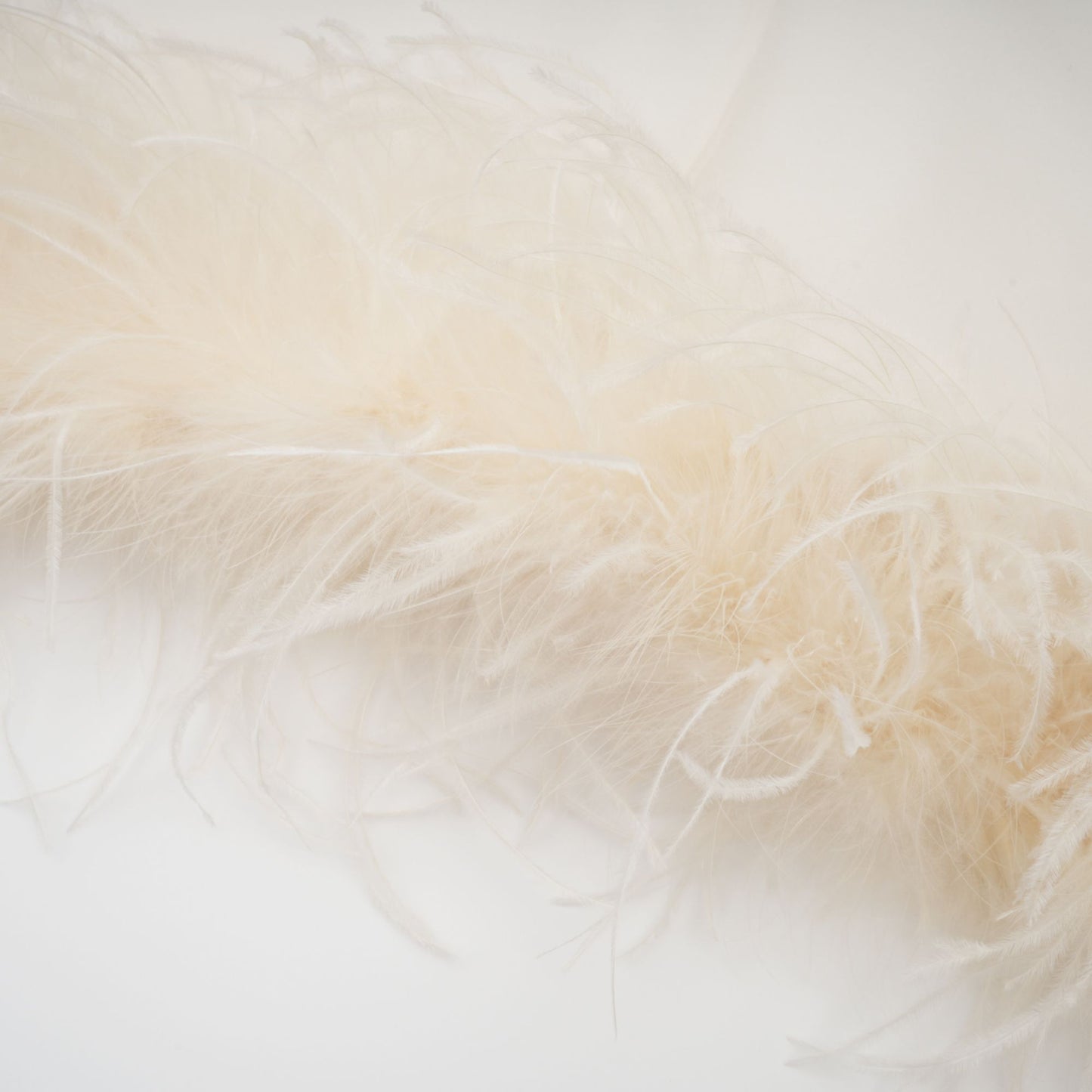 Adrienne White Feather Trim Mini Dress