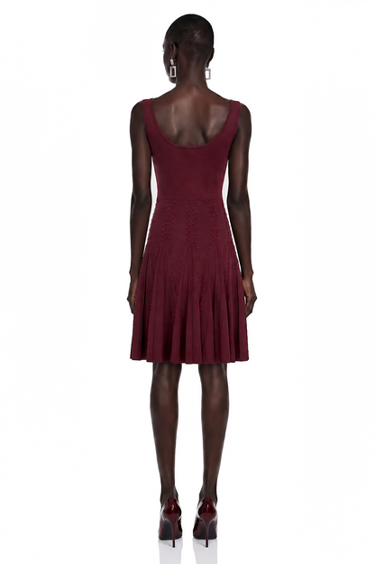 Diane Burgundy Beading Embellished Ruffled Mini Dress