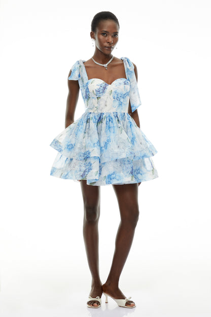 Hélène Blue Floral Print Flounced Mini Dress