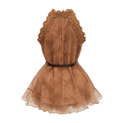 Holly Chocolate Brown Halterneck Mesh Mini Dress