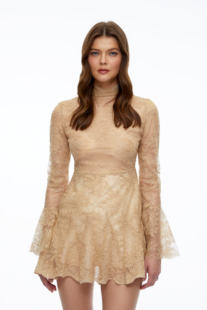 Nina Neutral Mini Dress with Lace Panels