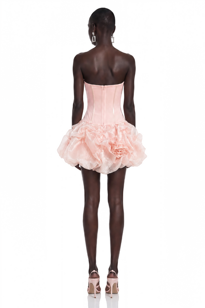Rachel Pink Off Shoulder Ruffled Mini Dress with 3D Florals