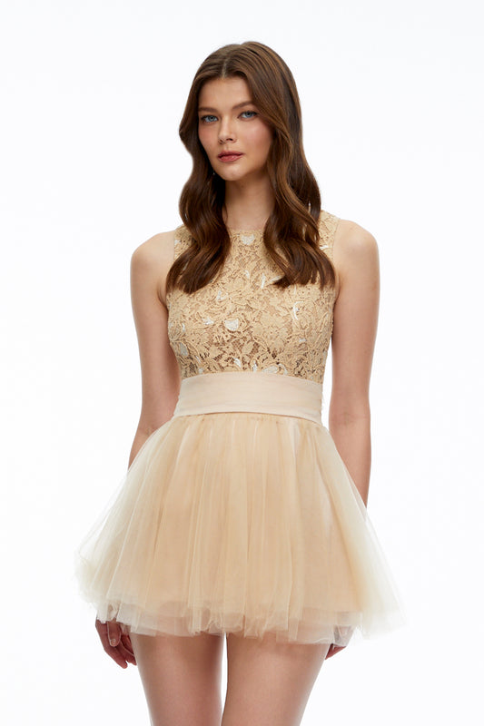 Rosa Neutral Floral Lace Mini Dress with Mesh Panels