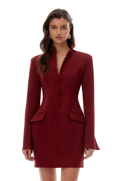 Valeria Burgundy Stand Collar Long Sleeve Mini Dress