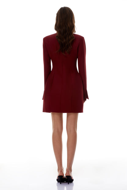 Valeria Burgundy Stand Collar Long Sleeve Mini Dress
