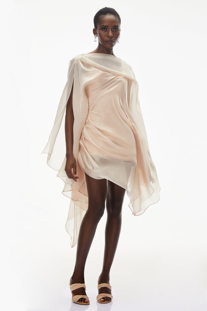 Willow Pink Asymmetrical Ruched Mesh Mini Dress